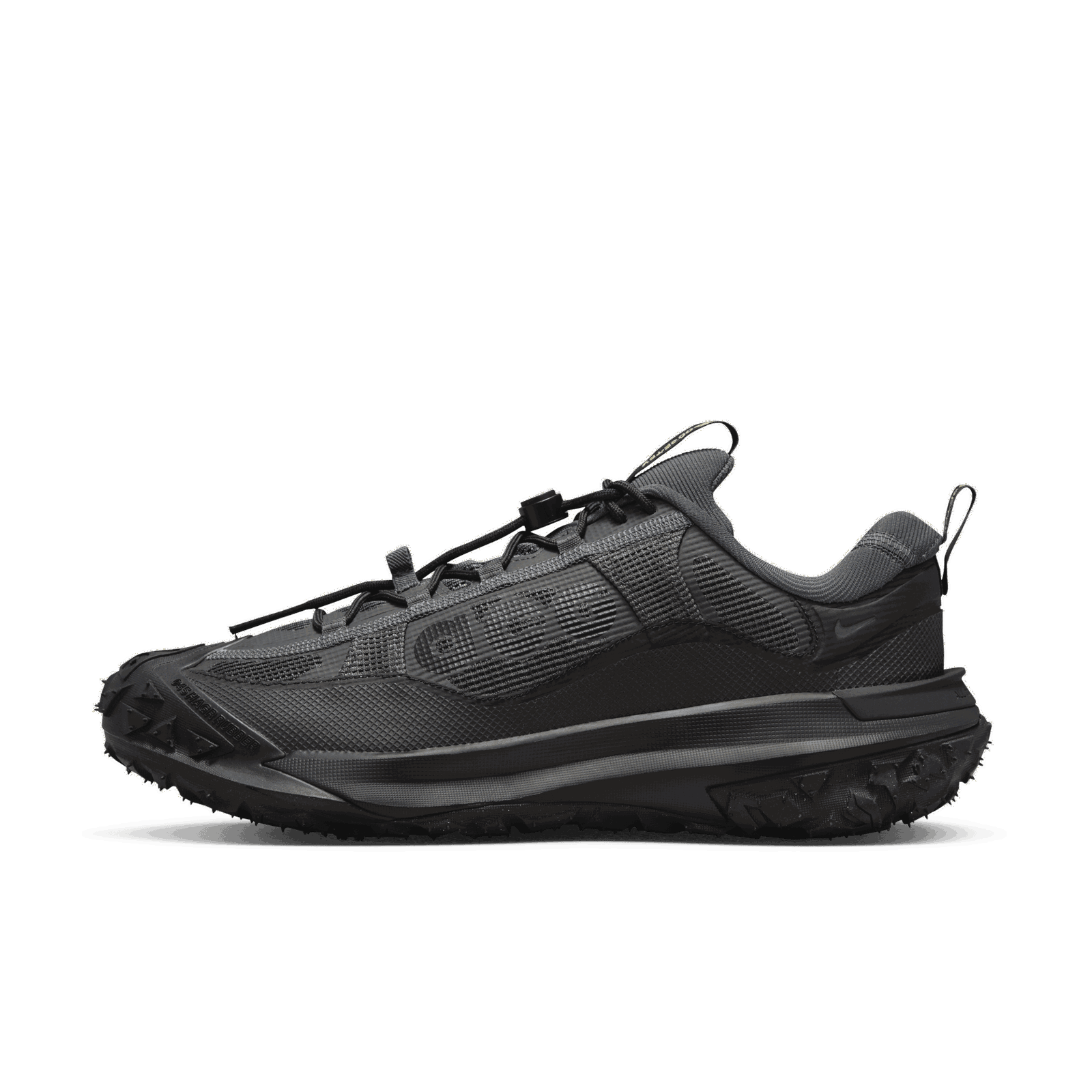 Mountain Fly 2 Low GORE-TEX