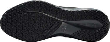 Tenisky a topánky Nike Pegasus 41 GORE-TEX Čierna | fq1357-001, 4