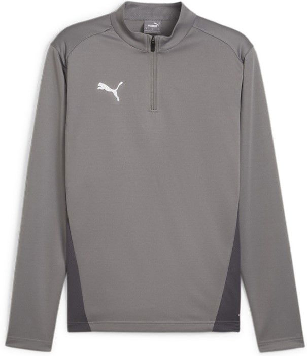 Mikina Puma teamGOAL Training 1/4 Zip Sweatshirt Šedá | 658629-13