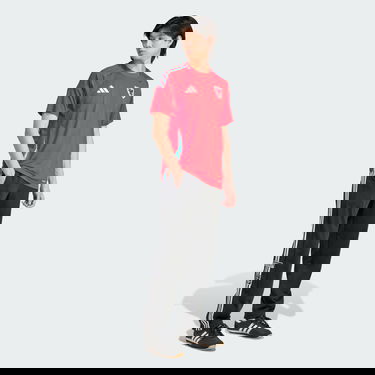 Dres adidas Performance Wales Away Jersey 2024/25 Červená | IQ2430, 3