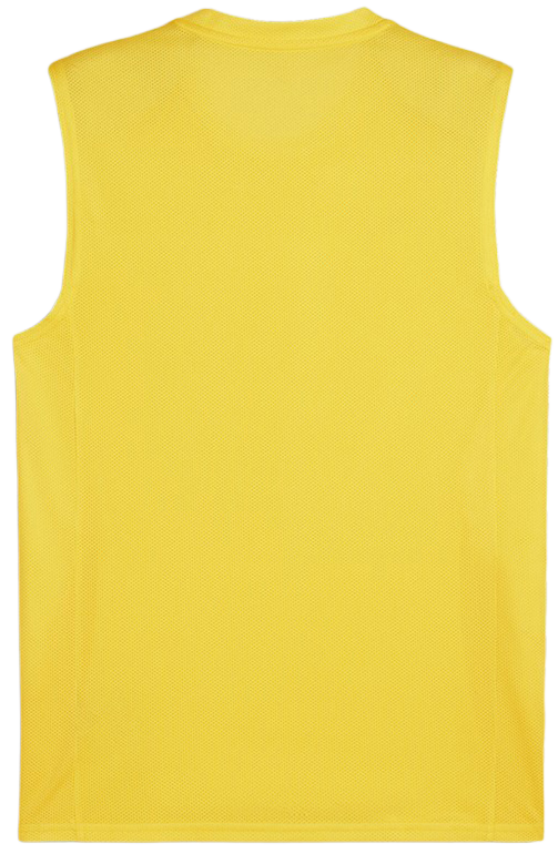 Dres Puma teamGOAL Sleeveless Jersey Žltá | 705913-07, 1