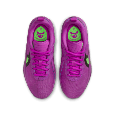 Tenisky a topánky Nike Giannis Freak 6 Fialová | FQ7378-500, 2