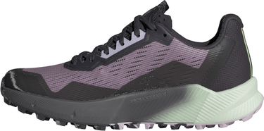 Tenisky a topánky adidas Performance adidas Terrex TERREX AGRAVIC FLOW 2 GTX W Fialová | id2501, 2