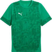 Puma teamCUP Training Jersey