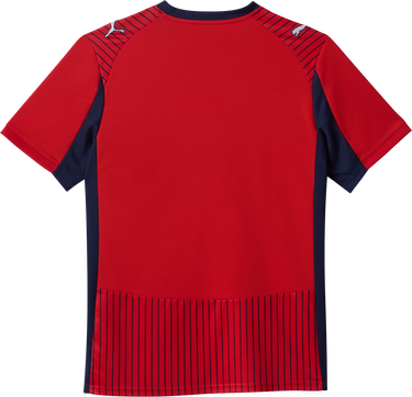 Dres Puma Puma SK Rapid Wien Away Jersey Červená | 6skr785219-01, 1
