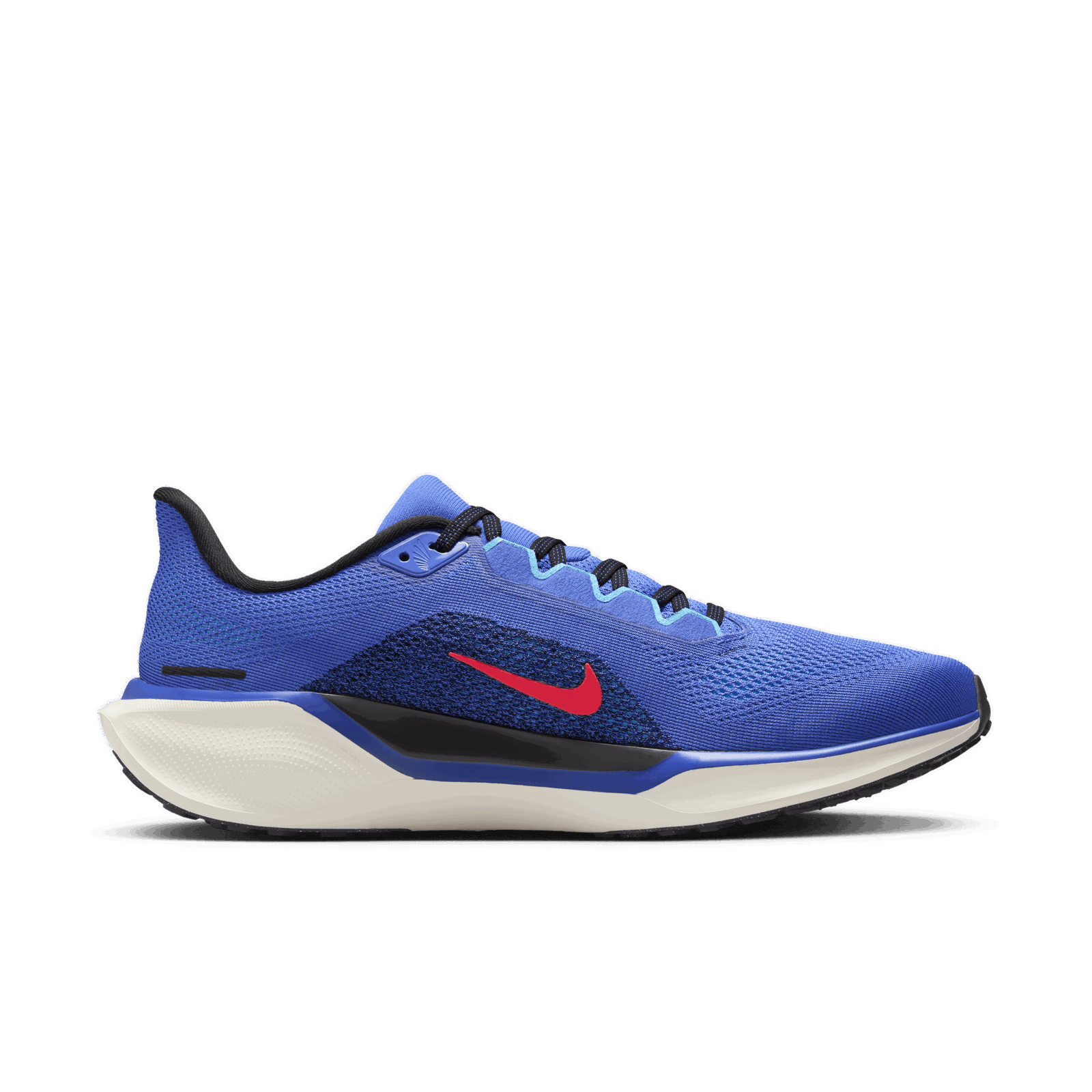 Air Zoom Pegasus 41