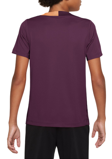 Tričko Nike Dri-FIT Strike 24 T-Shirt Vínová | fn8407-610, 1
