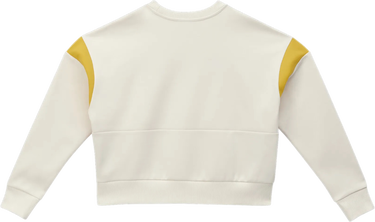 Sveter Puma German Handball Federation Archive Sweatshirt Biela | 775872_01, 2