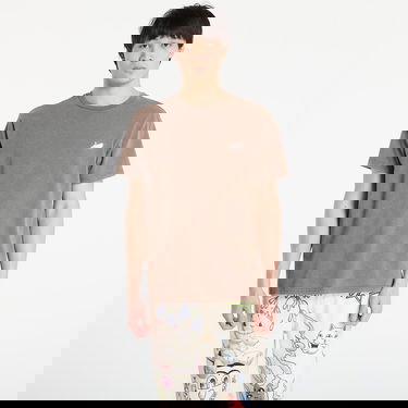 Tričko RIPNDIP Castanza Short Sleeve Vintage Wash Tee Hnedá | RNDBASIC251, 0