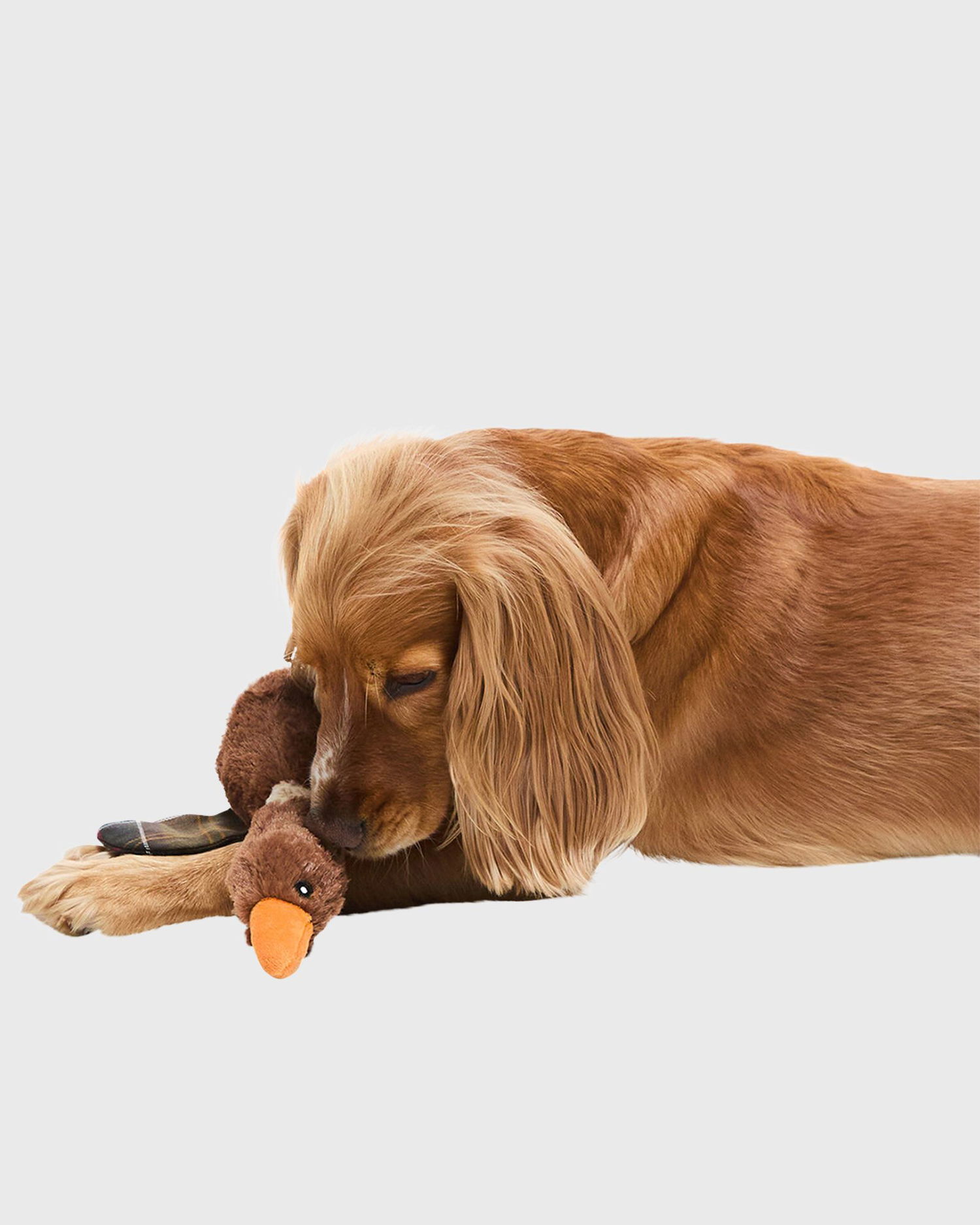 Zberateľské Barbour Plush Duck Toy with Plaid Detail Hnedá | DAC0117BR11, 1