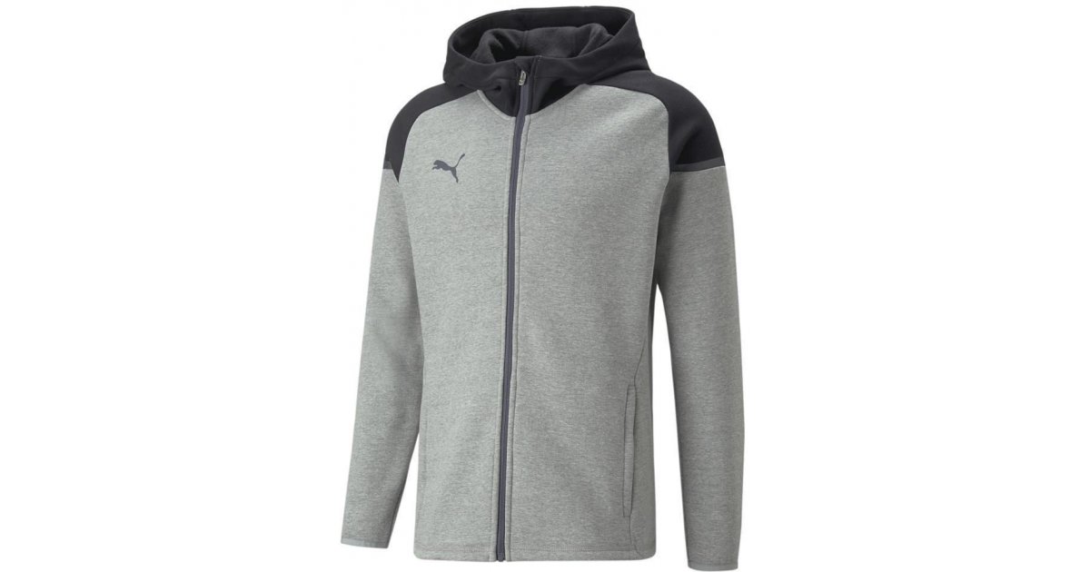 Mikina Puma teamCup Casuals Full-Zip Hoodie Šedá | 657987-13, 1