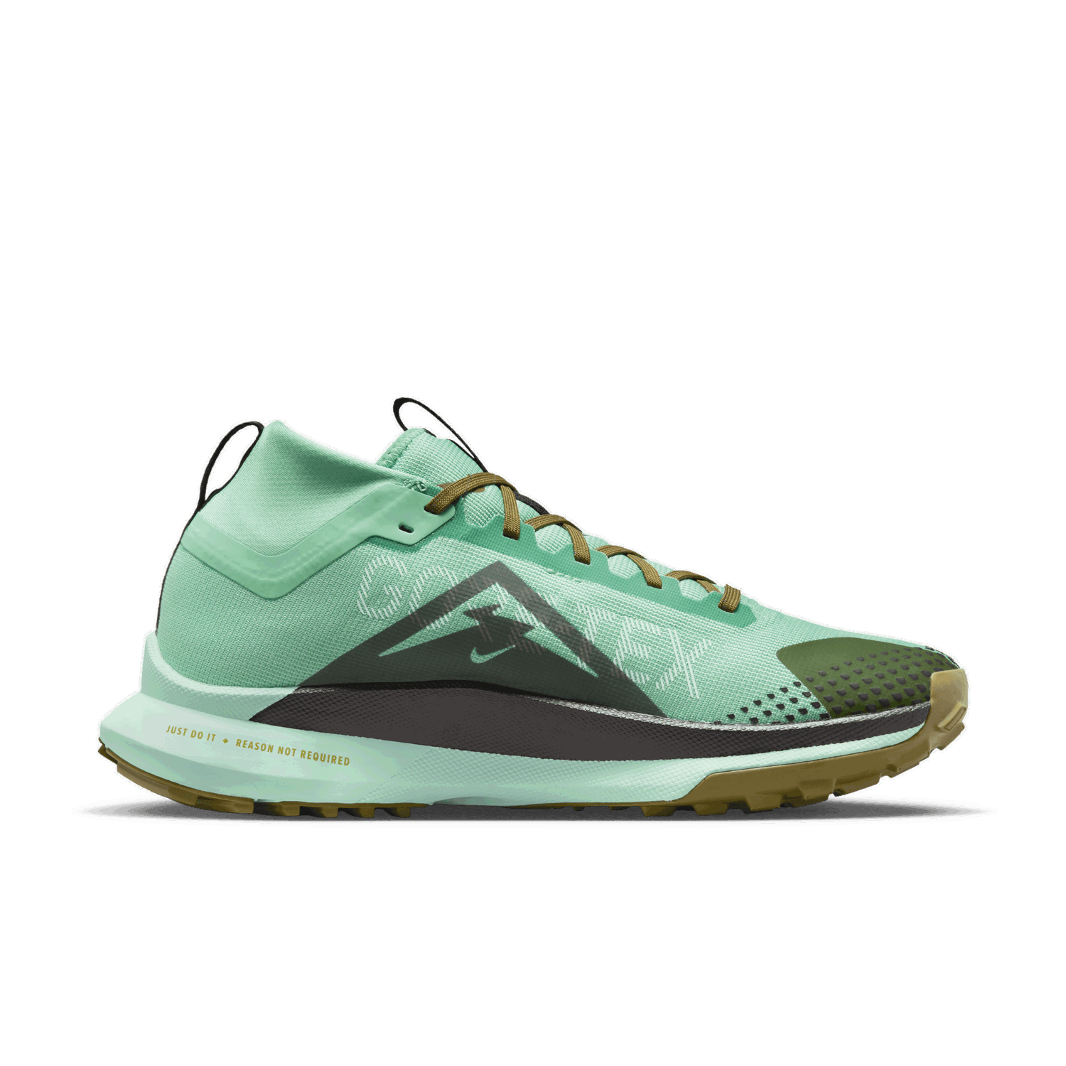 Tenisky a topánky Nike Pegasus Trail 4 GORE-TEX 'Spring Green' Zelené | DJ7926-301, 1