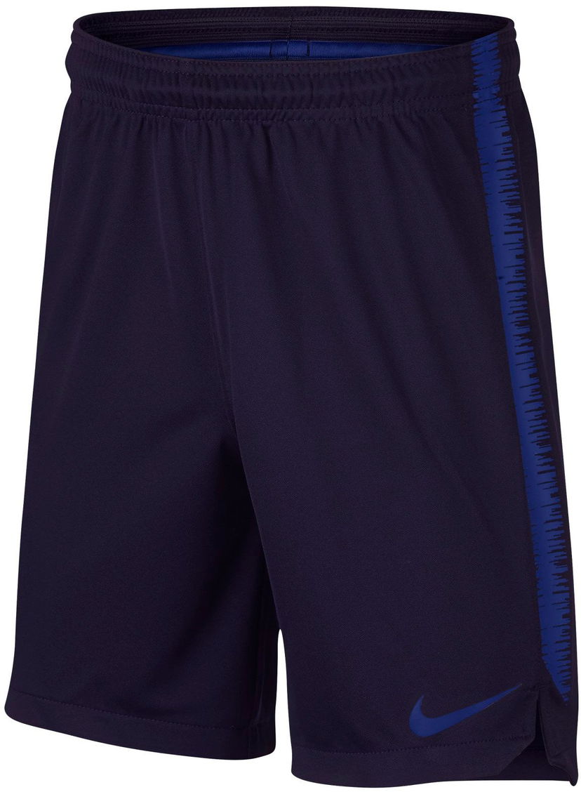 Šortky Nike Nike Dry Squad K 18 Shorts Navy | 894874-416