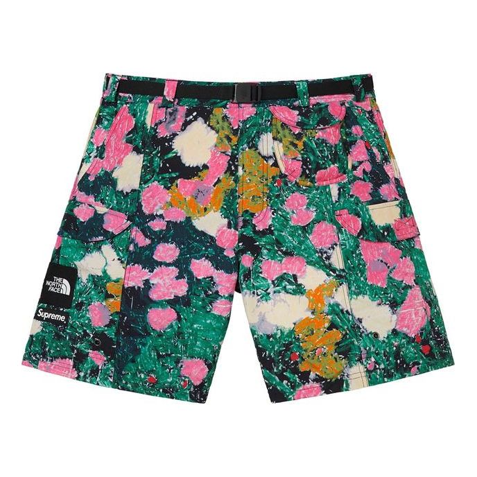 Šortky Supreme The North Face Trekking Packable Belted Shorts Rôznofarebný | SUP-SS22-852, 0