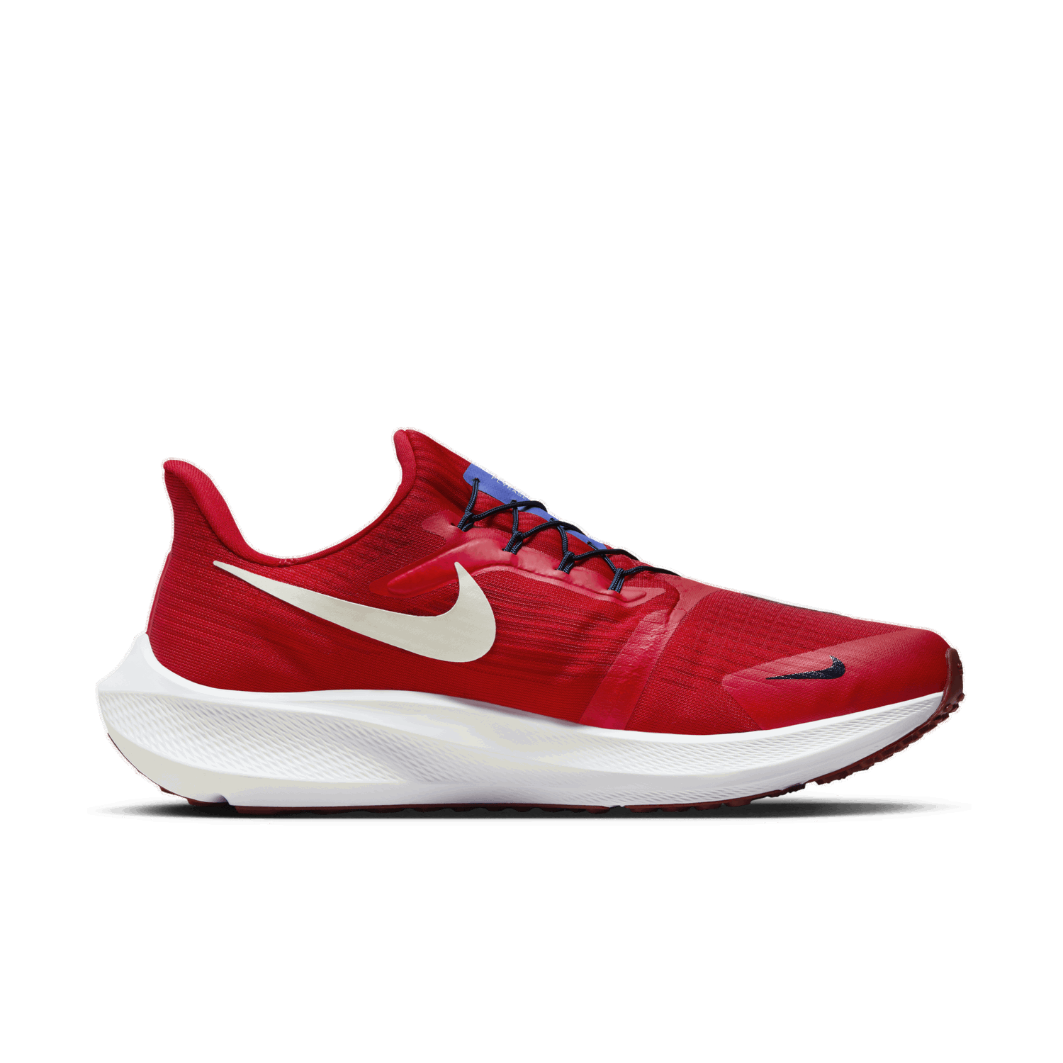 Tenisky a topánky Nike Pegasus FlyEase Červená | DJ7381-601, 0