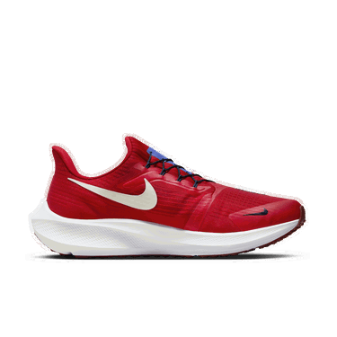 Tenisky a topánky Nike Pegasus FlyEase Červená | DJ7381-601, 0