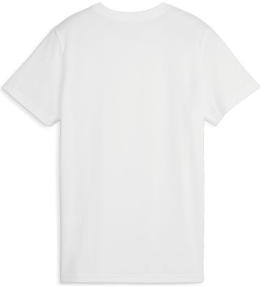 Dres Puma Dres teamGOAL Jersey W Šedá | 658638-04, 1