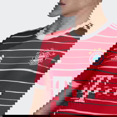 Dres adidas Originals FC Bayern 22/23 Authentic Červená | HT4825, 2