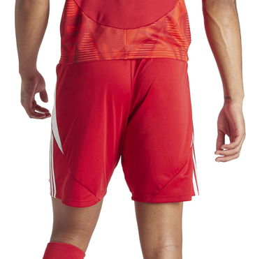 Šortky adidas Originals adidas TIRO24 SHO Červená | ir9379, 1