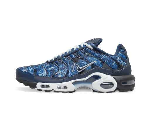 Tenisky a topánky Nike Air Max Plus Modrá | DO6384-400