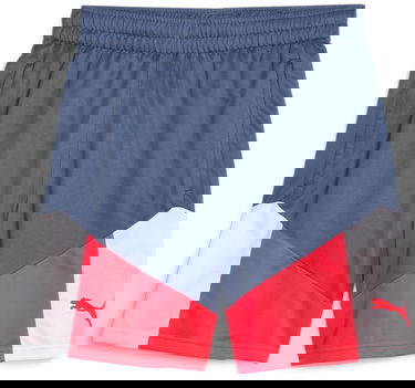 Šortky Puma individualCUP Football Shorts Rôznofarebný | 658485-53, 0