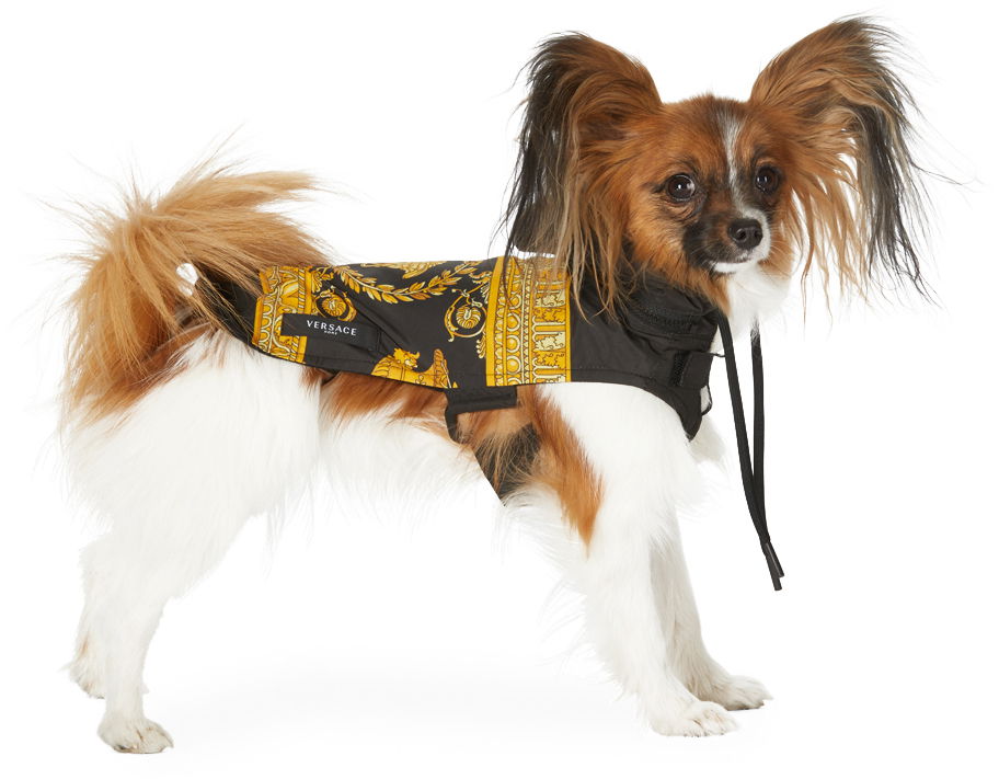 Versace Medusa Print Dog Raincoat