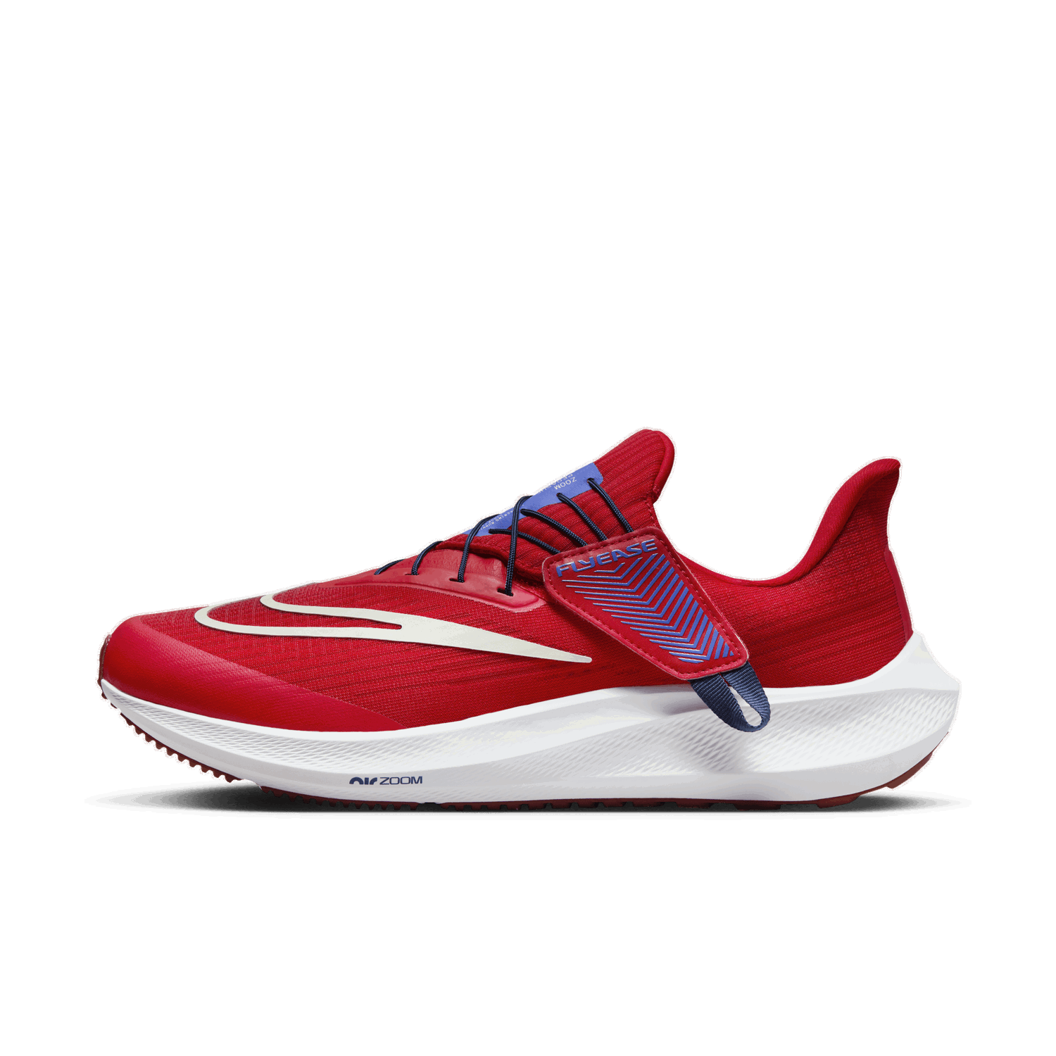 Tenisky a topánky Nike Pegasus FlyEase Červená | DJ7381-601, 1