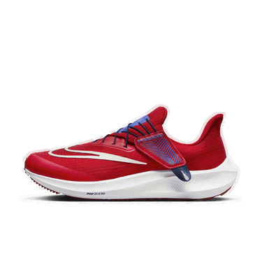 Tenisky a topánky Nike Pegasus FlyEase Červená | DJ7381-601, 1