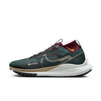 Pegasus Trail 4 GORE-TEX