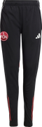1. FC Nürnberg Training Pants