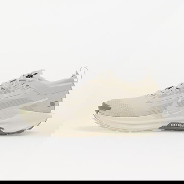 Tenisky a topánky Nike Pegasus Trail 5 Gore-Tex Béžová | FQ0912-006, 0