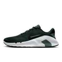 NIKE FLEX TRAIN