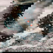 Terrex Skychaser AX5 Mid GORE-TEX CLIMAWARM+ Hiking Boots