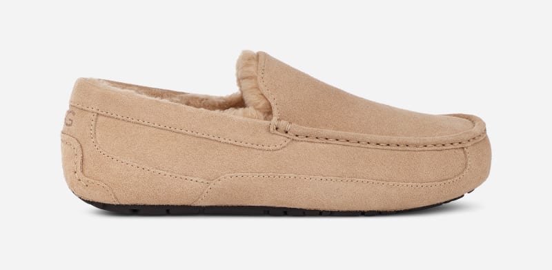 Oblečenie UGG ® Ascot Slipper for Béžová | 1101110-SAN, 0