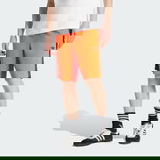 Adicolor Firebird Shorts