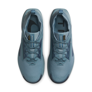 Tenisky a topánky Nike Pegasus Trail 5 GORE-TEX Modrá | FQ0908-005, 4