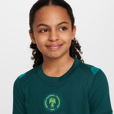 Dres Nike Nigeria Stadium 2025 Dri-FIT Replica Jersey Zelené | HM9662-483, 3