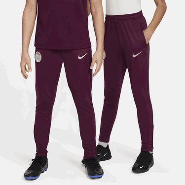 Tepláky Nike Dri-FIT Paris Saint-Germain Strike Knit Football Pants Vínová | FN9968-610, 0