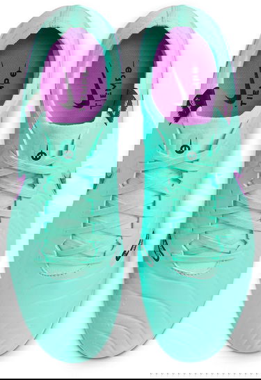 Tenisky a topánky Nike LEGEND 10 PRO FG Tyrkysová | dv4333-300, 3