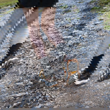 Tenisky a topánky New Balance Fresh Foam X Hierro v7 Žltá | mthierg7, 6