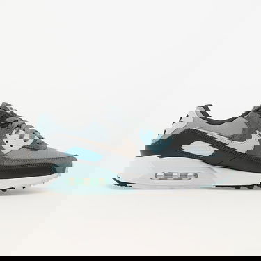 Tenisky a topánky Nike Air Max 90 Light Šedá | DM0029-009, 2