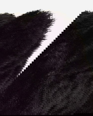 Šiltovka Aries Aries Temple Fluffy Ear Cap Čierna | AR9005404 Black, 7
