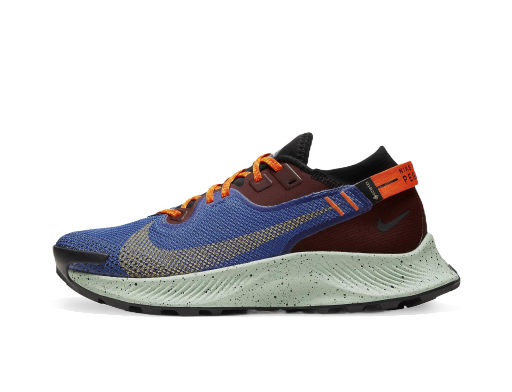 Bežecké topánky Nike Pegasus Trail 2 GTX W Modrá | CU2018 600