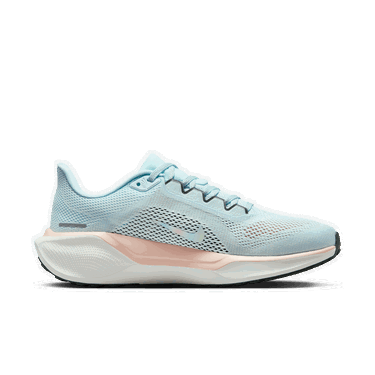Tenisky a topánky Nike Pegasus 41 PRM Modrá | HV5227-474, 1