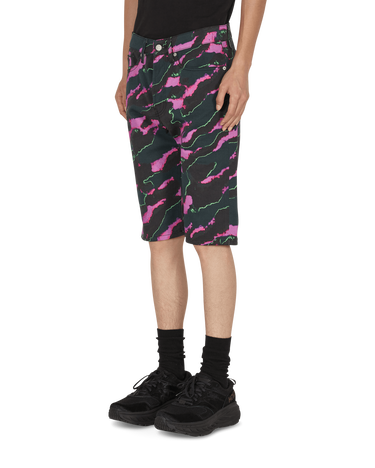 Šortky Dries Van Noten Len Lye Penna Tris Shorts Rôznofarebný | 211-22414-2021 304, 2