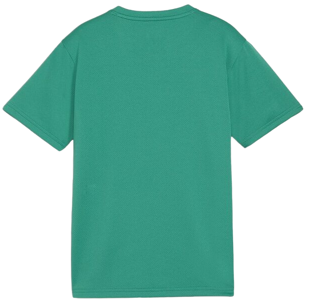 Tričko Puma teamGOAL T-Shirt Zelené | 658636-05, 1