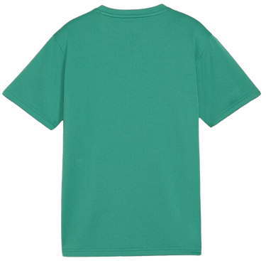 Tričko Puma teamGOAL T-Shirt Zelené | 658636-05, 1