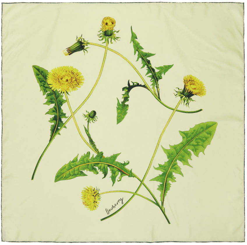 Dandelion Silk Scarf