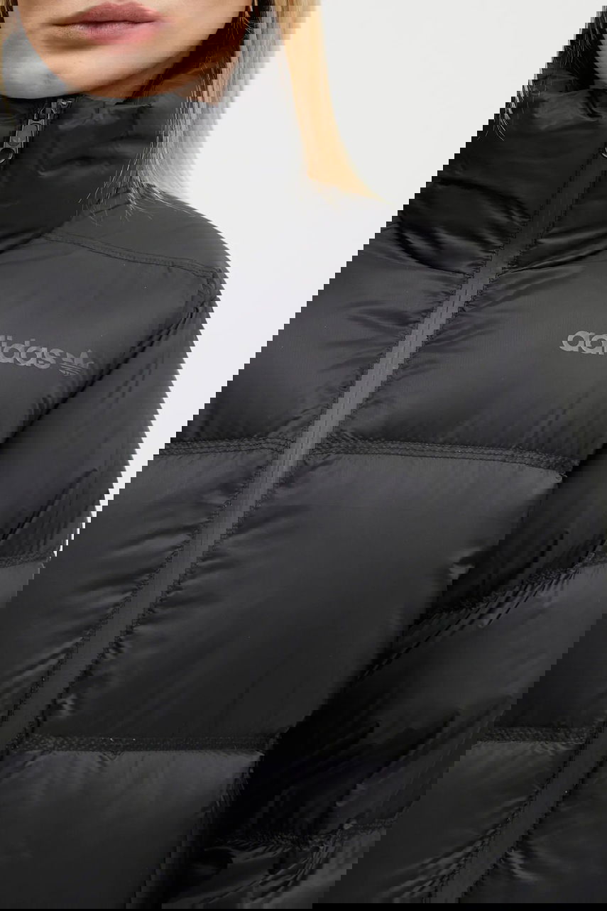 Premium Puffer Winter Jacket