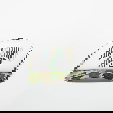 Šiltovka BAPE Abc Camo Nyc Logo Mesh Cap Rôznofarebný | 001CPL301012MGRN, 0